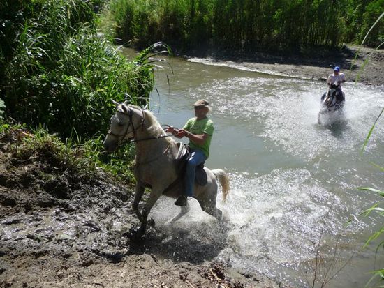 ....und ein Reiter auch!