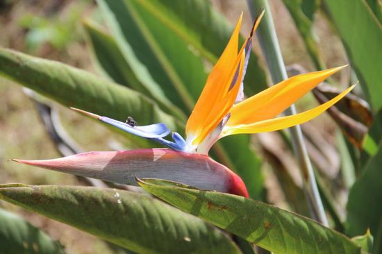 Eindrücke am Wegesrand....