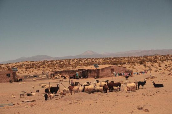 Kaum zu glauben, aber da gibt es Leben...