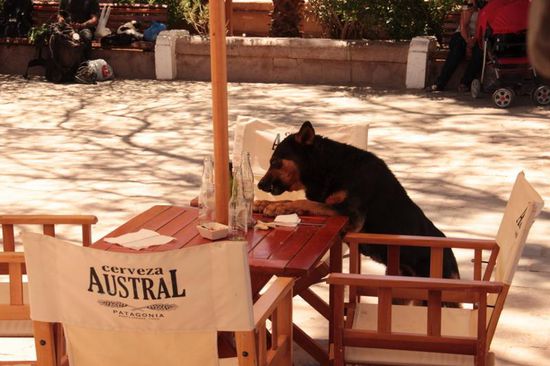 ein neuer Angestellter um den Tisch abzuräumen, grins!