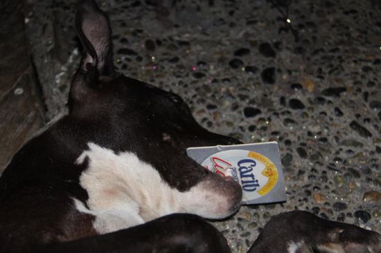 ...am liebsten mag ich "Carib"-Bier