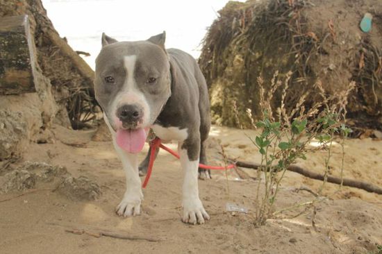 ...ich ....hilfe ! ....Wasser bitte!