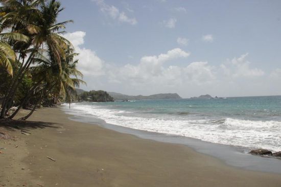 Immer bereit für ein kühles Bad....