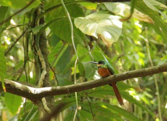 ein besonders Hübscher...
