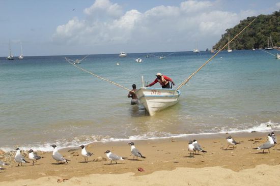 genauso haben wir uns die Karibik vorgestellt...