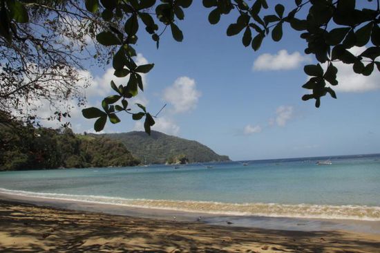 im Schatten unter Palmen dösen....