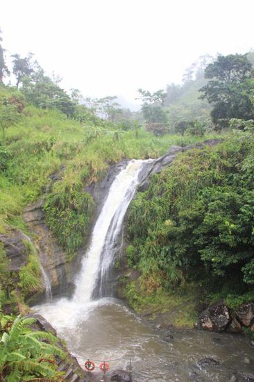 Regenwaldwasserfall im Regen....