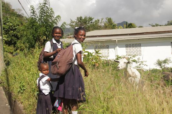 Schulkinder auf ihrem Weg nach hause...( ich würde auch erst mal mit der Ziege um die Wette meckern)