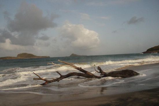 erster Eindruck am Levera Beach