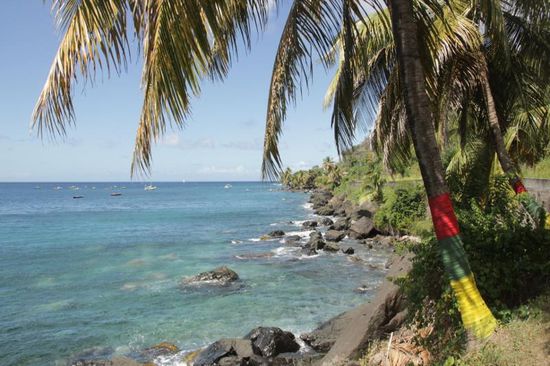 Nationalstolz, sogar die Palmen tragen die Farben Grenadas