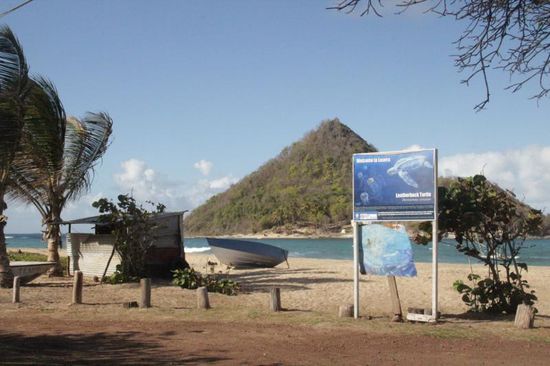 wir sind richtig gespannt auf diese Nacht, ob wir wohl einer riesigen Lederschildkröte begegnen?