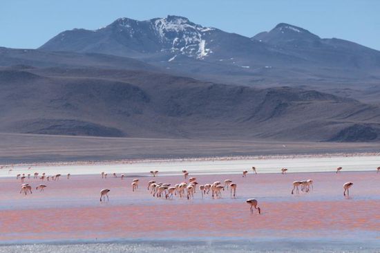 ein faszinierender Anblick...