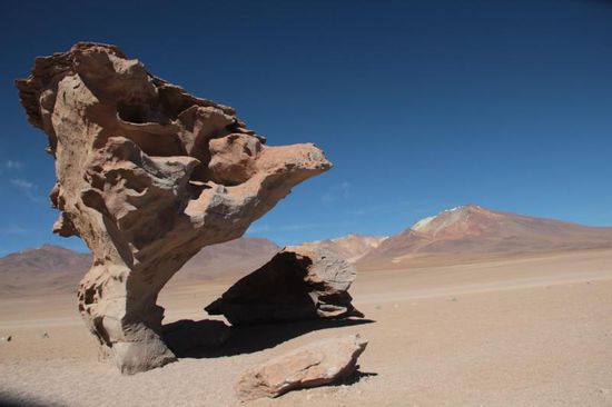 habe den Namen vergessen...