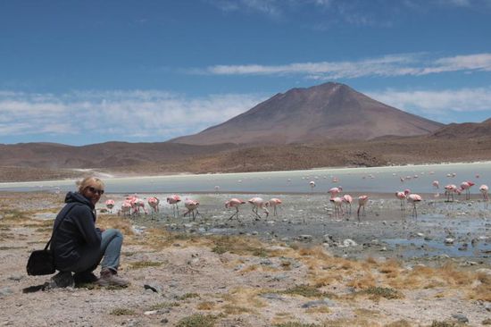ich könnte hier stundenlang sitzen und beobachten...
