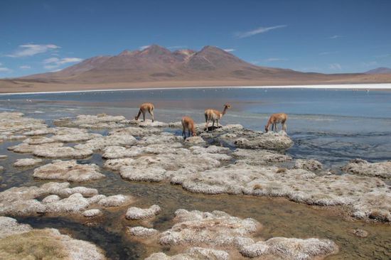 ...naja, hier stehen nur vier...
