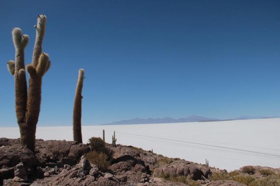 krasse Gegensätze...