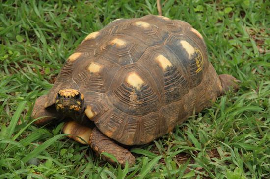 gemütliche Lotti...