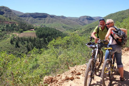 endlich wieder einmal etwas Bewegung...