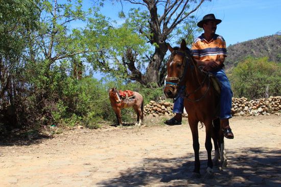 hier oben verkehren nicht mehr viele Fahrzeuge, hier wird mit richtigen Pferdestärken gearbeitet und transportiert...