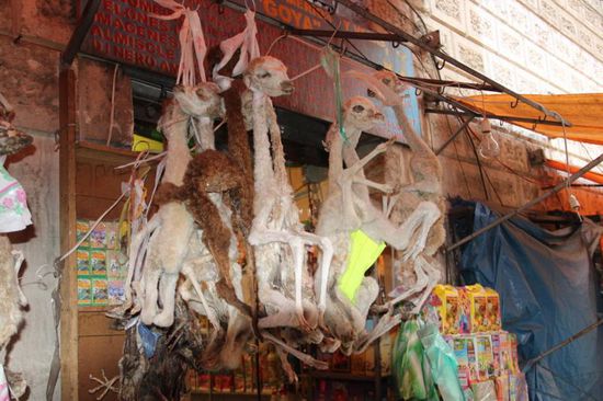 Igitt, Lama- Embrios werden hier verkauft, sie dienen als Opfergaben für "Pachamama" (Mutter Erde)