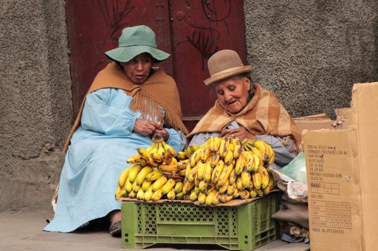 kleines Schwätzchen zwischen den Bananen...