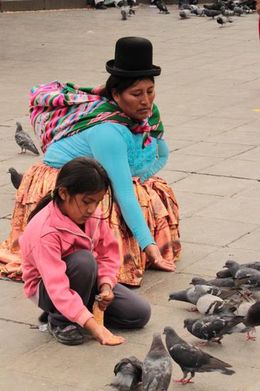 wie auf der ganzen Welt, so auch in Bolivien: Taubenfütterung