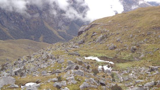 Ein Blick zurück...