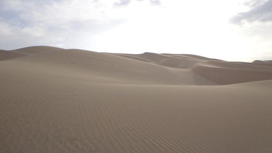 Sanddünen wie sie sich in der Sahara vorstellt
