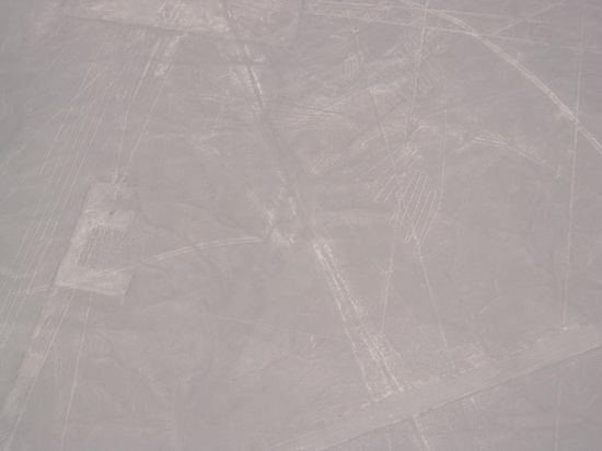 Oben rechts - der Albatros