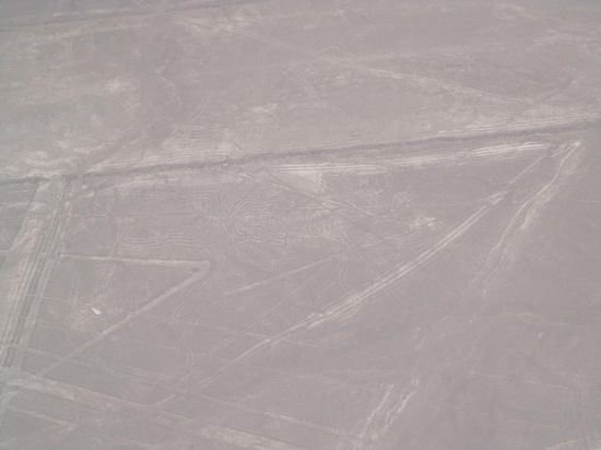 Links Mitte hier leider kaum zu erkennen: die Spinne