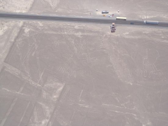 Links Baum, rechts Hände - hier sind die Grössenverhältnisse gut zu sehen