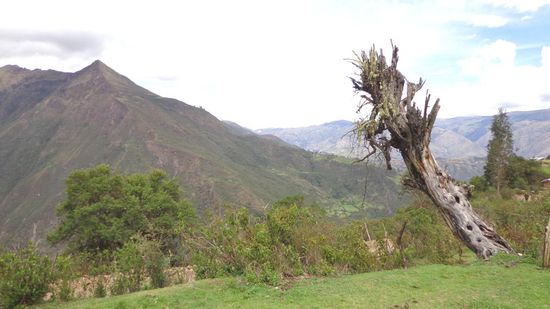 Am Rastplatz des Mittagessens