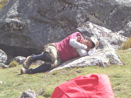 Auch Bernie geht der Aufstieg nicht spurlos vorbei 