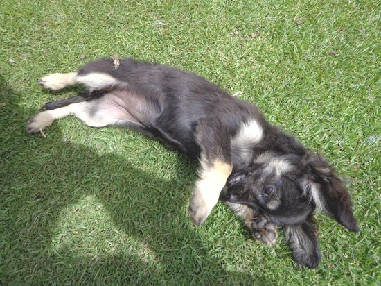 Bei der ersten kleinen Rast - der war vielleicht süss...