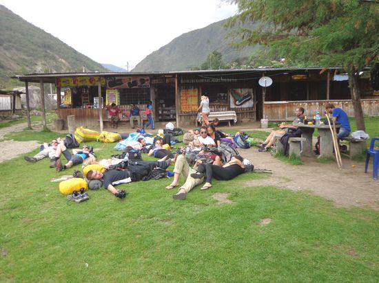 Sexy Pumas während Power Nap 