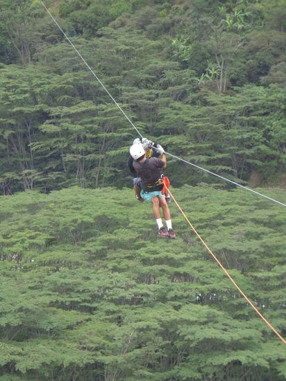 ... deshalb wurde er "gerettet" 