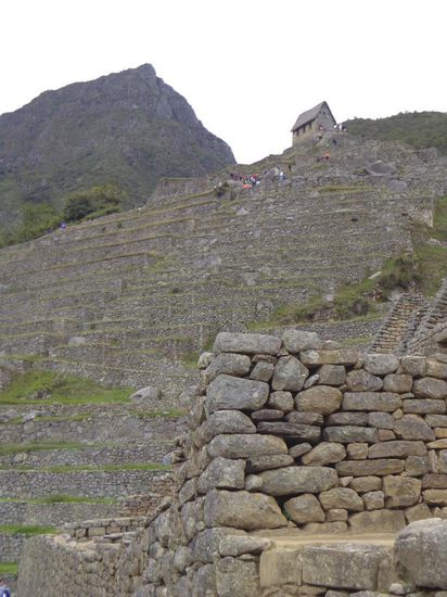 Terrassen und darüber thronende Schutzhütte...