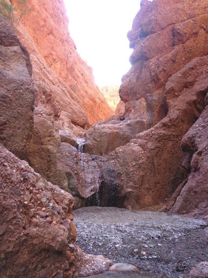 Am Ende unseres Ausritts