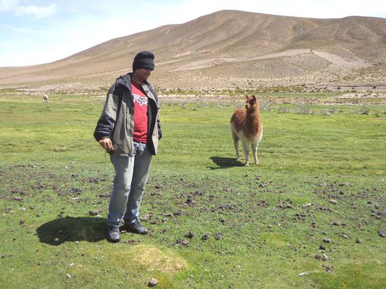 Shikhar hat immer die Lamas für ein gutes Foto gejagt. Aber die Viecher sind einfach zu scheu 