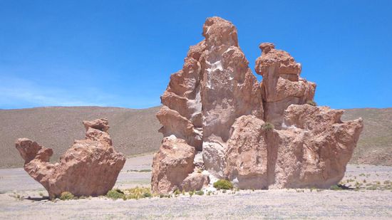 Sieht ein bisschen wie ein Kamel aus