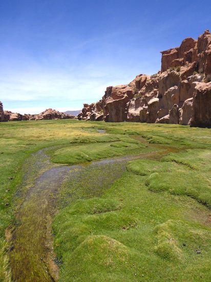 Ort des Mittagessens - wunderschön!