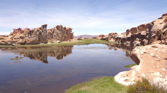 Mein persönlicher Favorit 