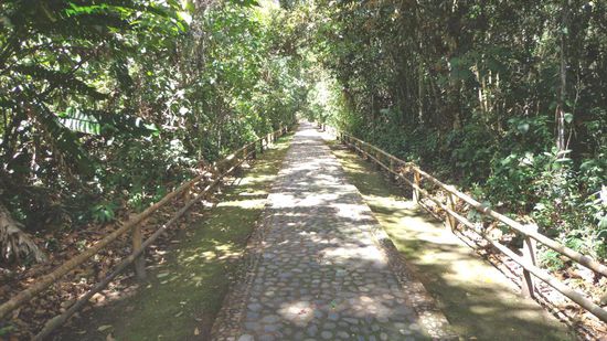 Der Weg ist das Ziel