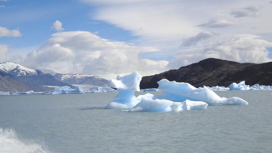 Wir nähern uns dem ersten Gletscher (Upsala)