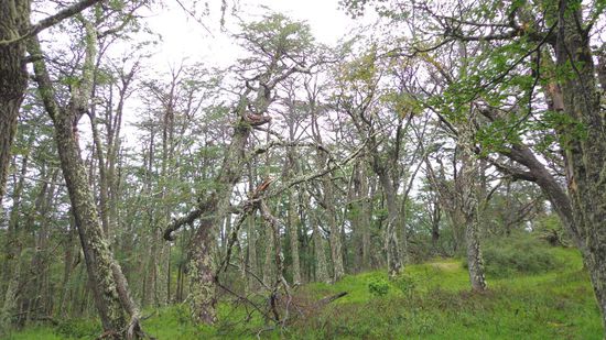 Auch ansonsten hat der Parque Nacional los Glaciares was zu bieten