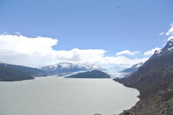 Der Gletscher Grey vom ersten Aussichtspunkt - da wos mir die Brille weg gewindet hat 
