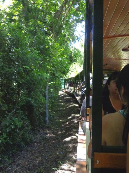 Mit dem "Zügli" gehts zur ersten Station - wie ich später herausgefunden habe, kann man die Strecke auch gut zu Fuss gehen, um lästige Wartezeiten zu vermeiden. Auch kann man mit etwas Glück einige Tiere beobachten...