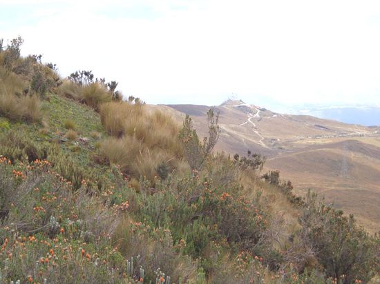 Blick zurück auf die Bergstation