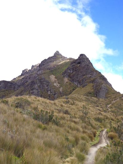 Na Hallo - da lässt er sich doch mal blicken...