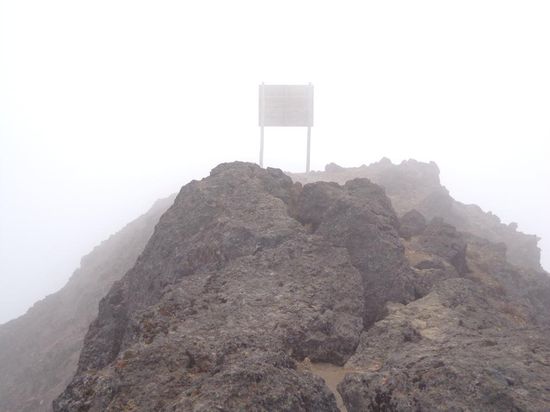 Jaaa!!! Ich glaube, dass isses...